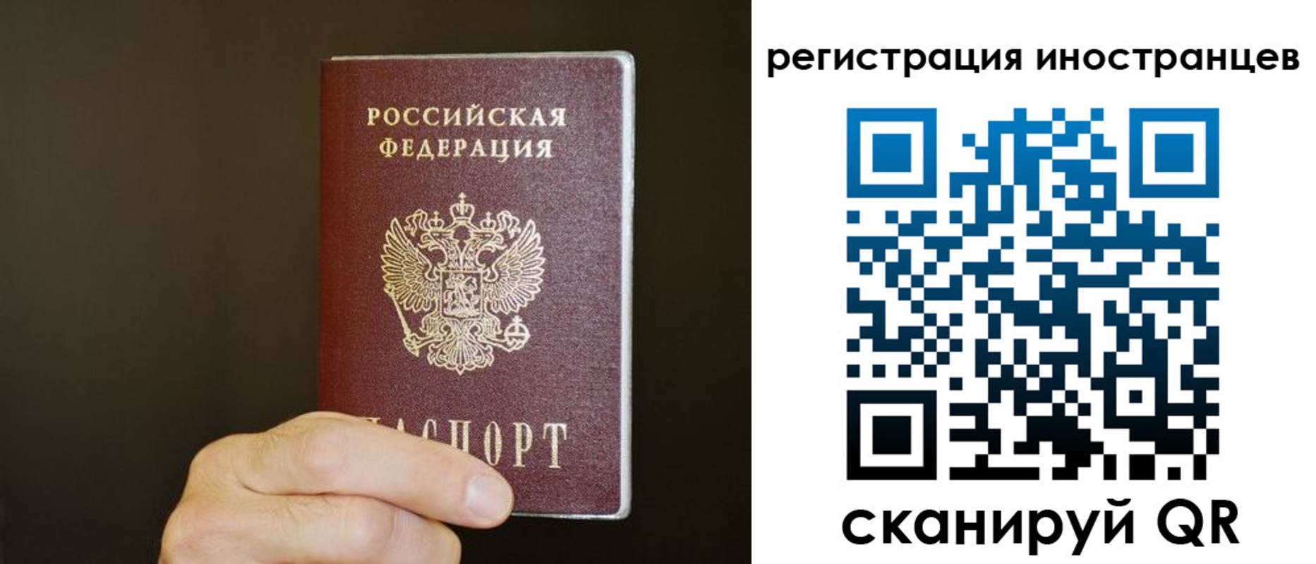 прописка в Курганинске